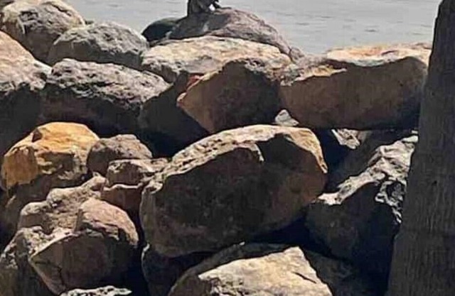 Casa Rufus, beach house on the Pacific Ocean