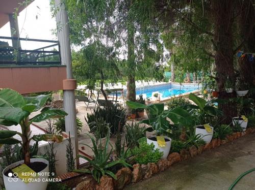 Casa Rural COMPLEX MASIA DEL TREMENDO y Agroturismo