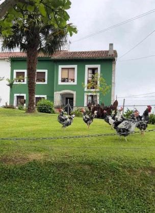 Casa Rural La Pereda