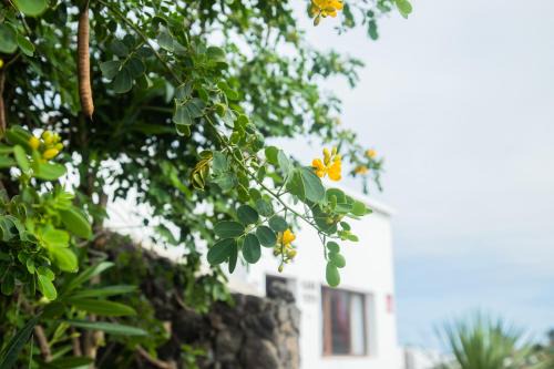Casa Rural Yeyo en el cráter del volcán
