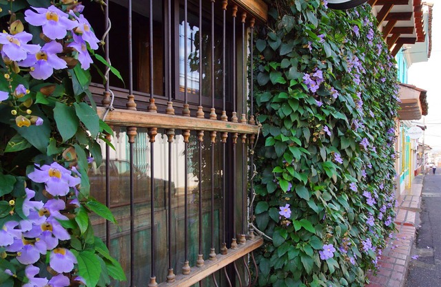 Casa Ruta Sur