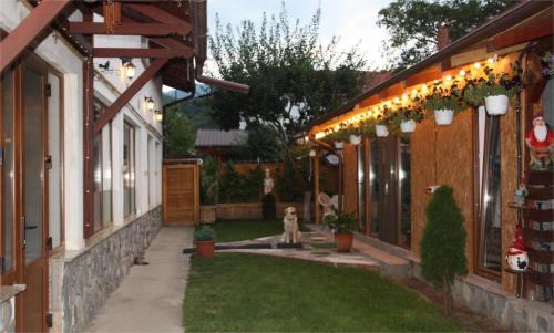 Casa Selera Rasnov