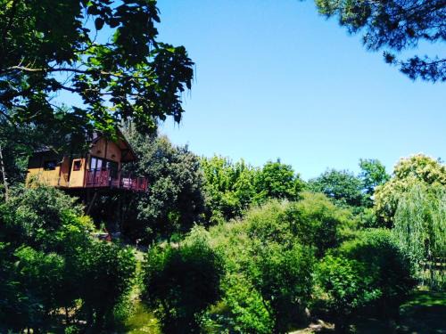 Casa sull'Albero Awen del Casale LaBandita