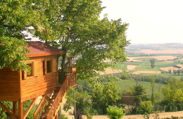 Casa sull'Albero Aromantica