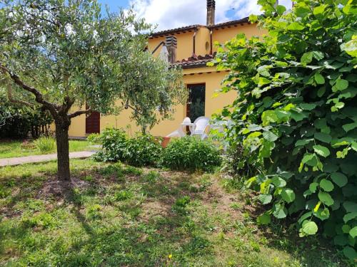 Casa Vacanze "Dimora Quercia" - Appartamento "Oliva"