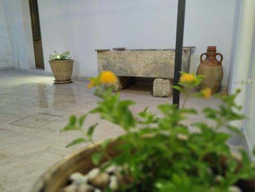 Casa Vacanze OCCHI BLU