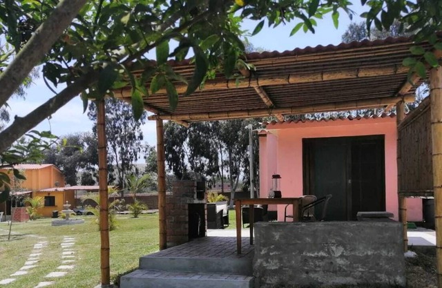 Casa Verde Bungalows | DOUBLE #A1 | garden view