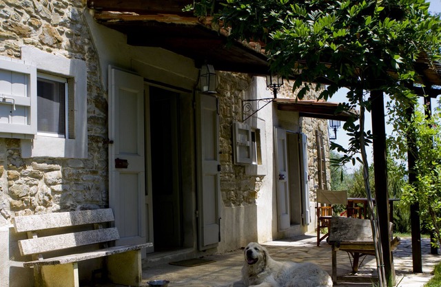 Casa Verde