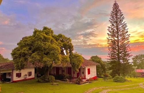 Casa Vieja Mountain Lodge