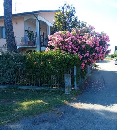 Casa Vintago b&b