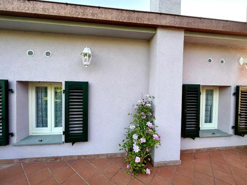 Casa vista lago la Rosella
