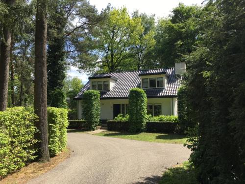 Casa Vogelenzang
