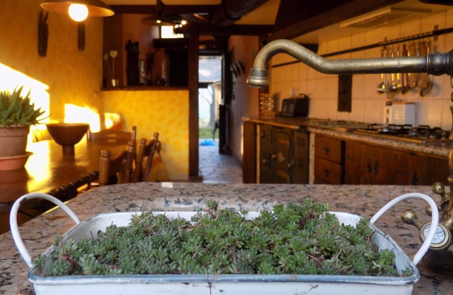 CasaBioxana holiday home. it is
