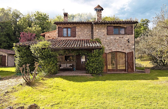 Casale chimneys immersed in olive trees