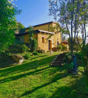 Casale Druida