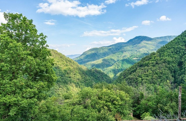 Casale Scope in Molazzana , Toscana