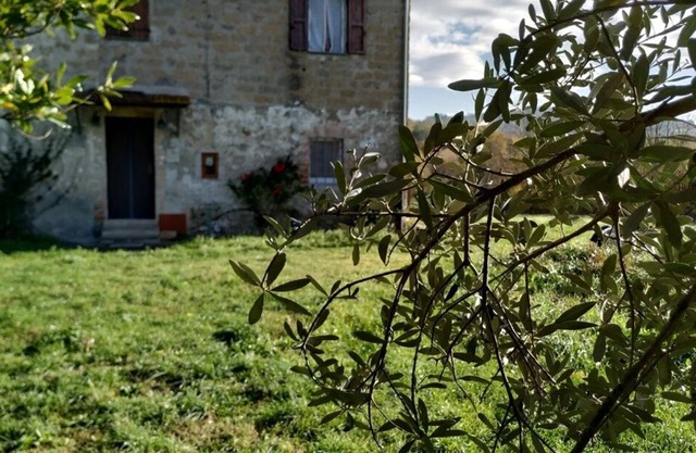 Casale "The Blue Cornflower"