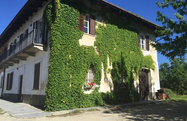 Cascina Garbianotto, among woods and vineyards