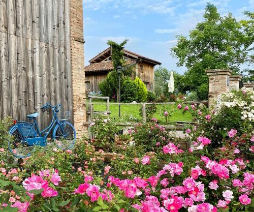 Casetta dipinta Fattoria dei fiori