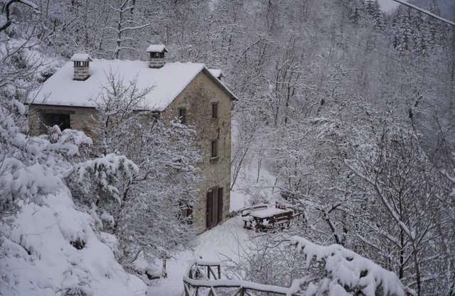 Casina del Ponte on the river in the middle of the woods