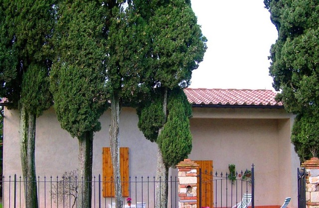 Casole d'Elsa / Siena Loc. Marmoraia on the Sienese hills