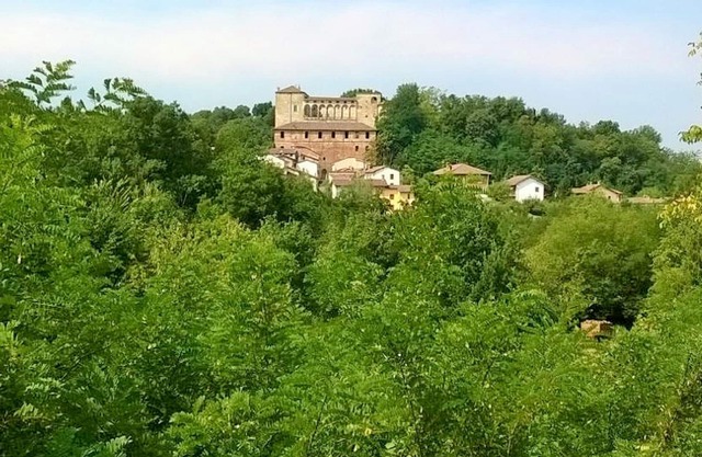 Castle Tassarolo - OS Castle - Historical house