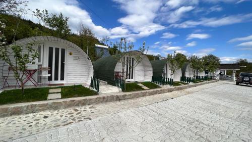 Casutele verzi din Ocnele Mari