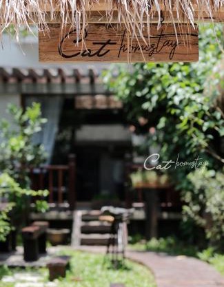 Cat Homestay