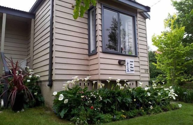 Cat On The Hat Cottage ~MeOw MeOw~n5 stars 🌟 🌟 🌟 😻 propertynn