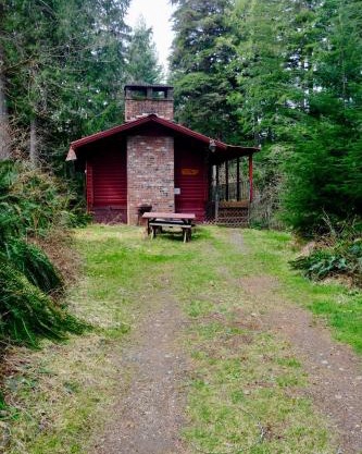 Cedar at Rainier Lodge (0.4 m from Mt.Rainier)