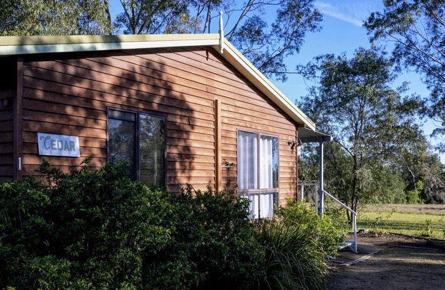 Cedar Cabin 1 - 2 bedroom with 1 x queen and 1 King or 2 king singles + sofa bed