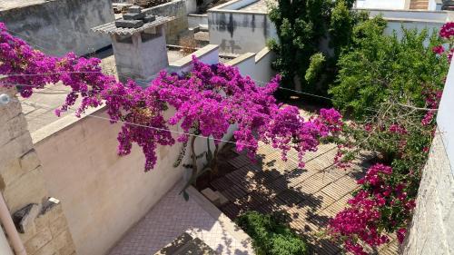 Celi Blu Apartments