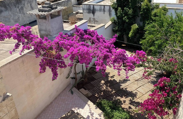 Celi Blu - One Bedroom Apartment, Sleeps 3