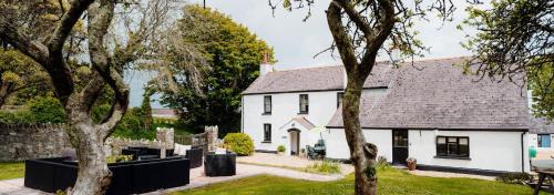 Celtic Haven