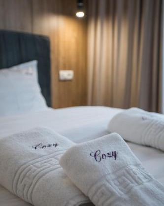 Central Address Bucharest - COZY Accommodation