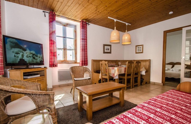 Central apartment in Chamonix with WiFi and pets allowed