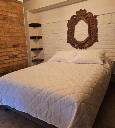 Central Campestre Apartment
