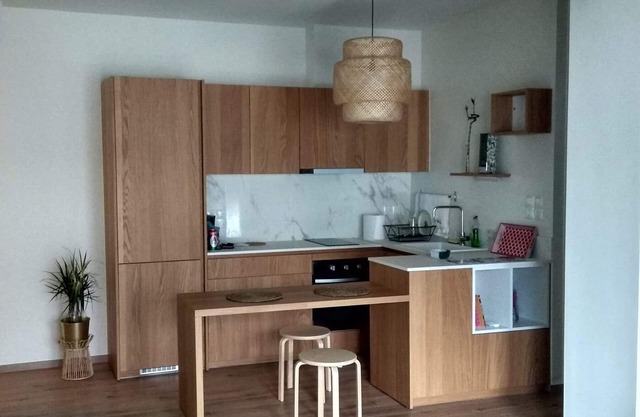 CENTRAL JUST RENOVATED FLAT