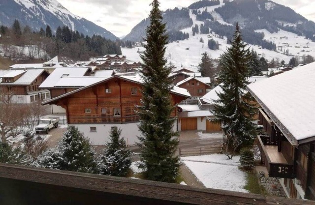Central Location Cozy 3 BR Flat in Gstaad