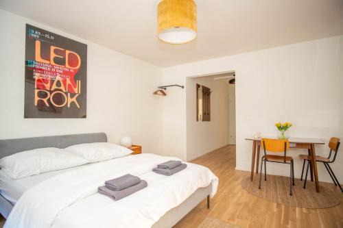 Central Studio Apartment with free BaselCard