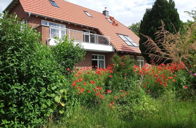 Centrally located, quiet apartment with terrace and garden