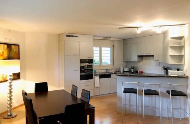 Centrally located, Spacious Modern Apartment