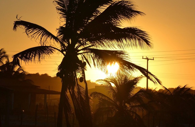 Chale on Nordeste beach (Sergipe coast: Saco beach, Mangue Seco)