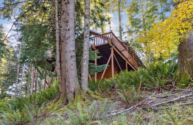 Chalet At Rainier Lodge 3 Bedroom Cabin