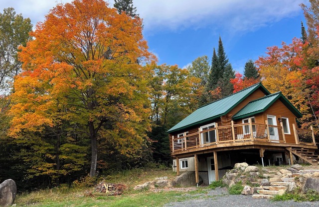 Chalet au toit vert
