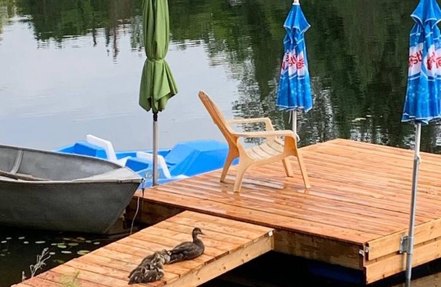 Chalet Lac Long - Spa au bord du lac