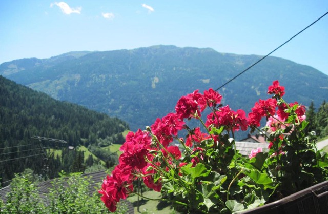 Chalet Catton Two Bedroom Appartement near Bad Kleinkirchheim