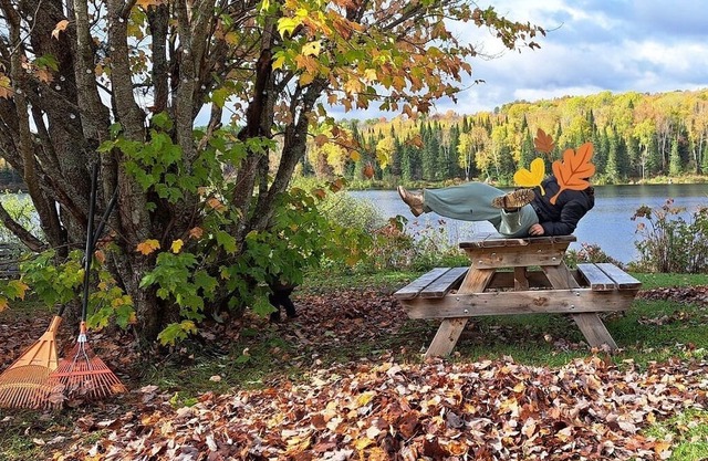 Chalet Chute-St-Philippe ♥ Waterfront ♥ SPA ♥ Wifi ♥ Pool Table ♥ Fireplaces