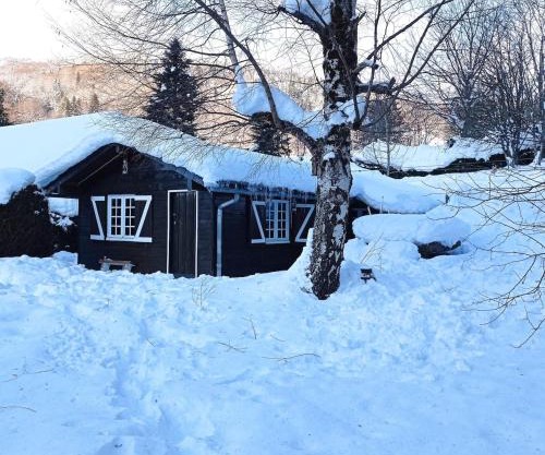 Chalet des cascades