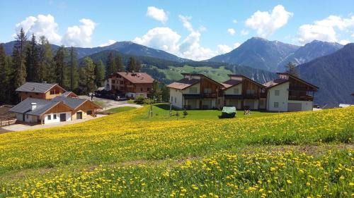 Chalet Frapes